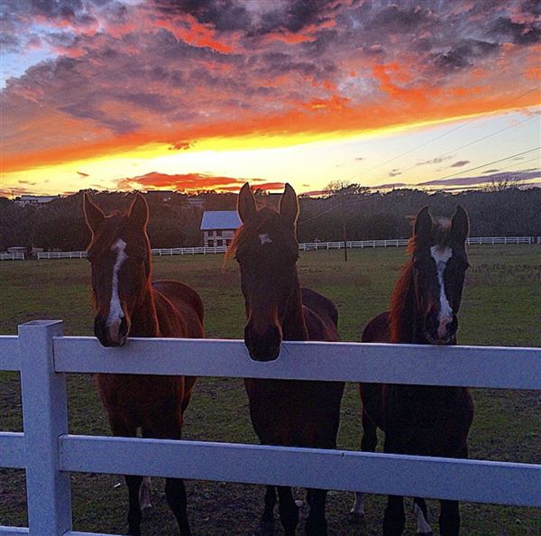 Sky Creek Farm (3/22/2026 - Credits: Quincy DeSpain)