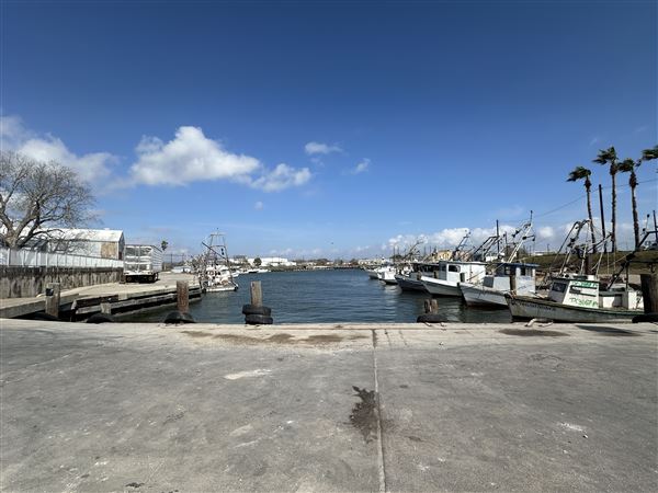 Port Lavaca City Harbor (3/1/2026 - Credits: Tania French)