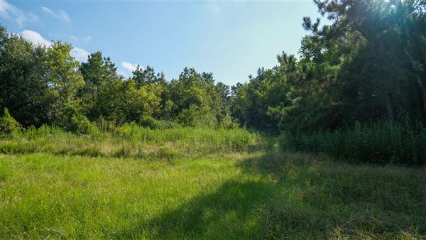 The Oaks of Anahuac (9/12/2025 - Credits: Houston Film Commission)