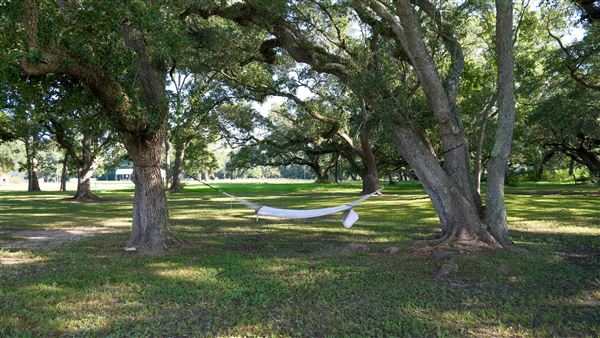 The Oaks of Anahuac (9/12/2025 - Credits: Houston Film Commission)