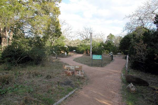 McKinney Roughs Nature Park (1/4/2005)