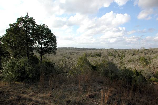 McKinney Roughs Nature Park (1/4/2005)
