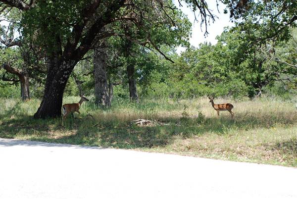 Gloster Bend Recreation Area (5/21/2012)