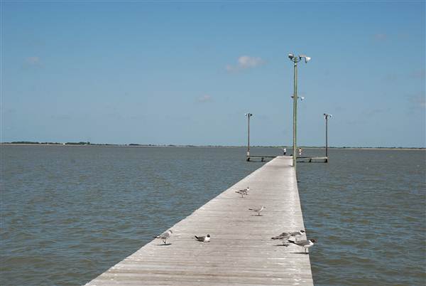 Palacios Seawall (5/30/2012)