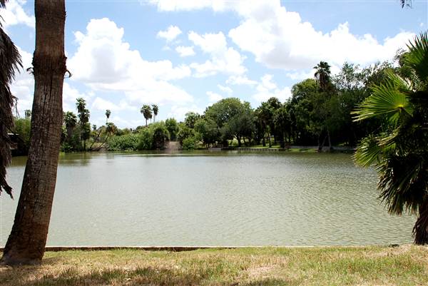 Calle Jacaranda Neighborhood (8/18/2012)