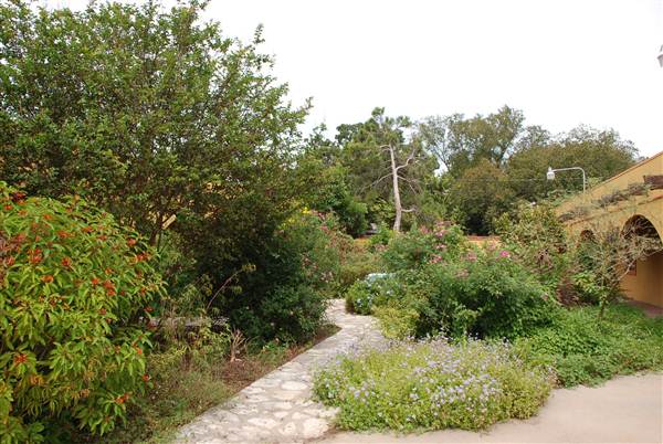 Fiesta Gardens (10/16/2012)