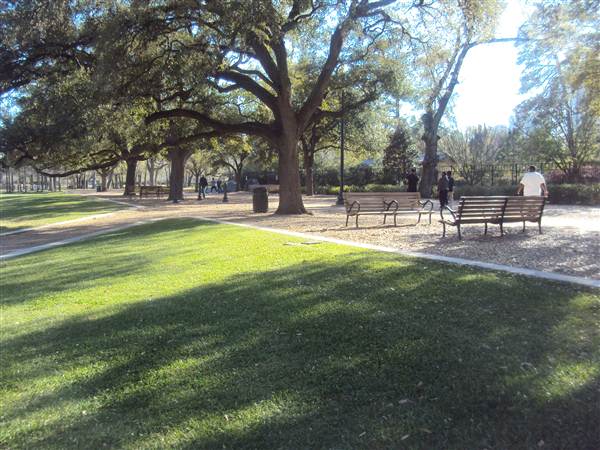 Hermann Park (3/7/2013)