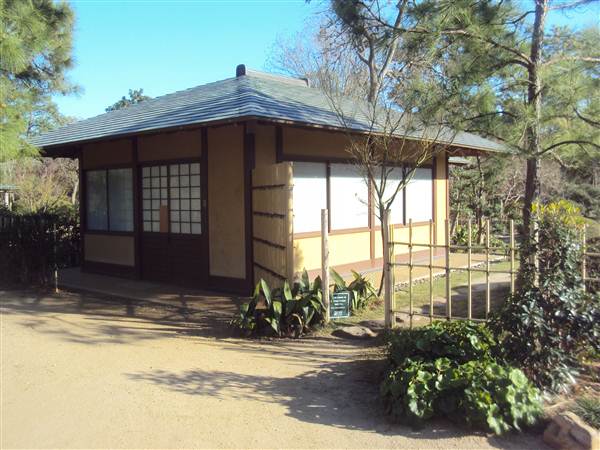 Japanese Garden in Hermann Park (3/7/2013)