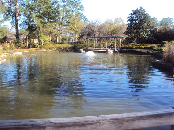 Japanese Garden in Hermann Park (3/7/2013)