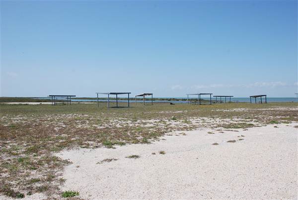 Matagorda Island (4/4/2013)