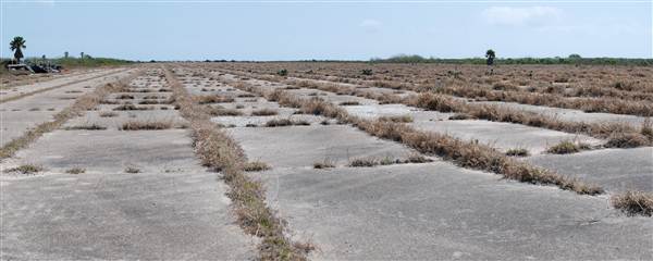 Matagorda Island (4/4/2013)