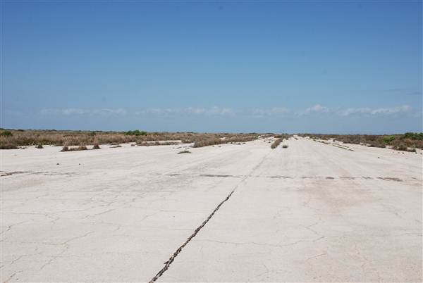 Matagorda Island (4/4/2013)
