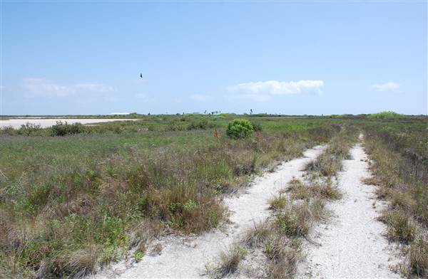 Matagorda Island (4/4/2013)