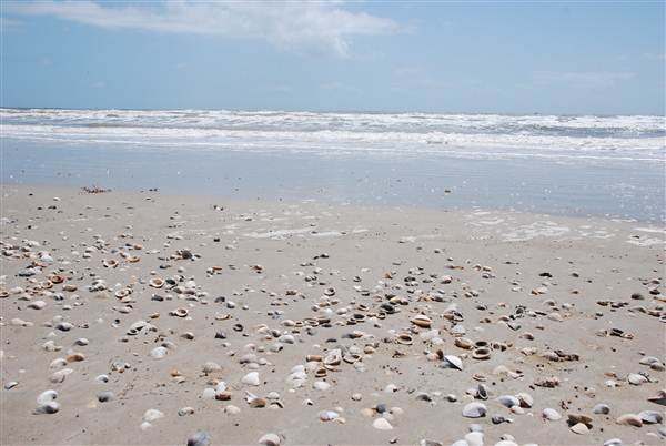 Matagorda Island (4/4/2013)