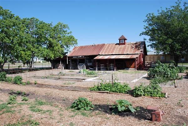 Peterson Community Garden (5/13/2013)