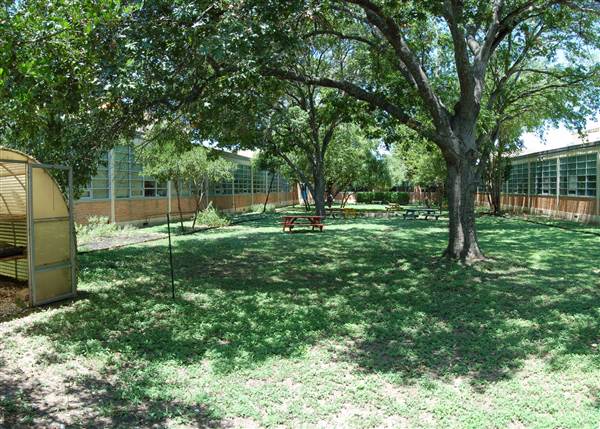 McCallum High School (7/30/2013)