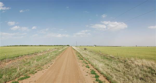 Wheat Field on SH114 (4/29/2014)