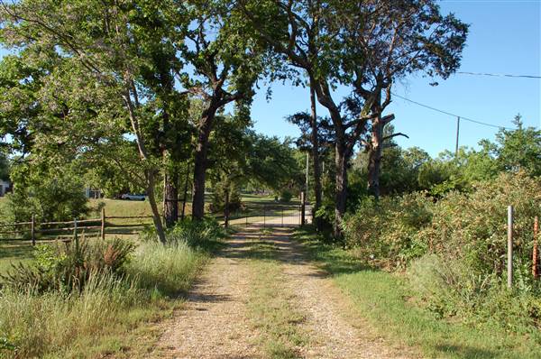 Man Homestead (5/1/2014)