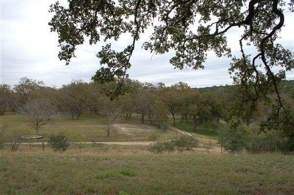 Old Glory Ranch (11/13/2014)