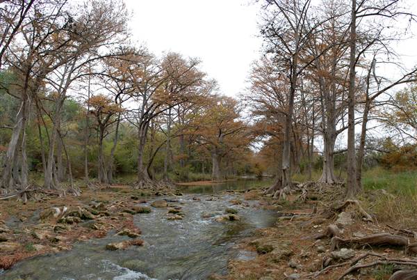 Old Glory Ranch (11/13/2014)