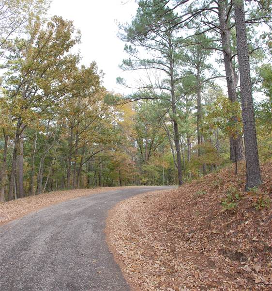 Davey Dogwood Park (11/13/2014)