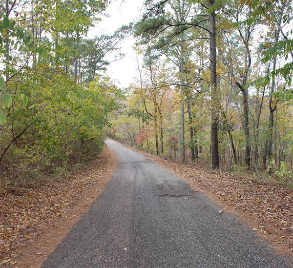 Davey Dogwood Park (11/13/2014)