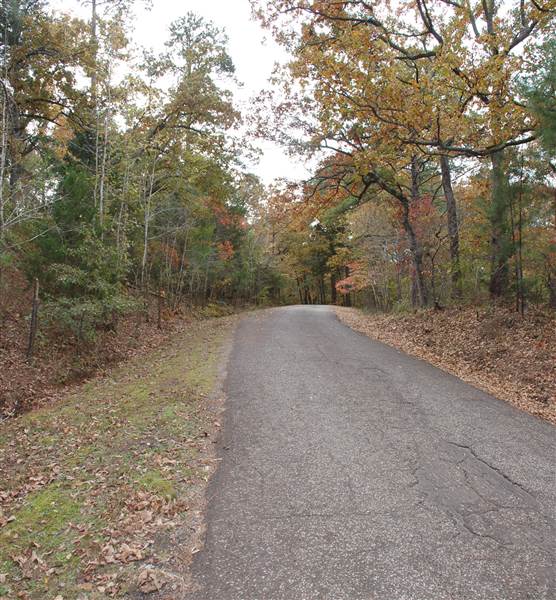 Davey Dogwood Park (11/13/2014)