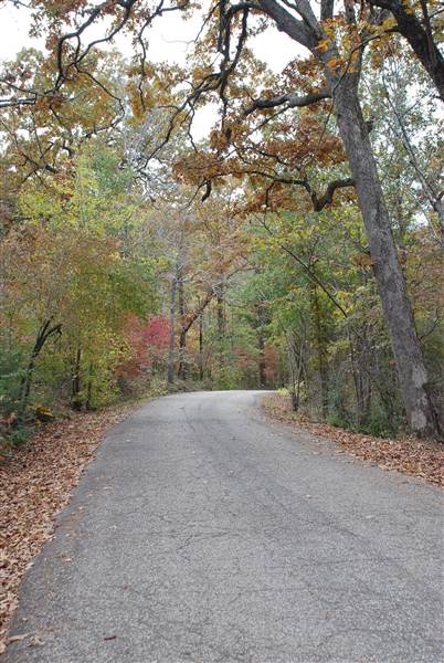 Davey Dogwood Park (11/13/2014)