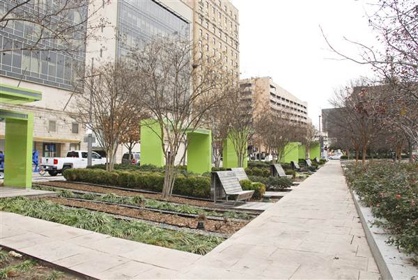 Main Street Garden (1/14/2015)