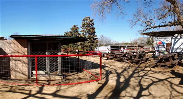 Animal World and Snake Farm (1/19/2015)