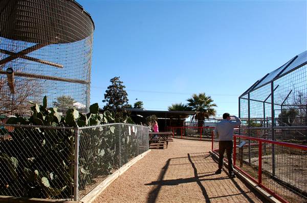 Animal World and Snake Farm (1/19/2015)
