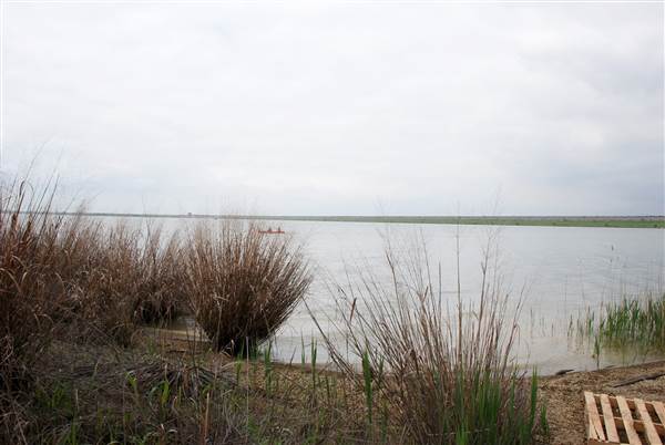 Cedar Hill State Park (4/13/2015)