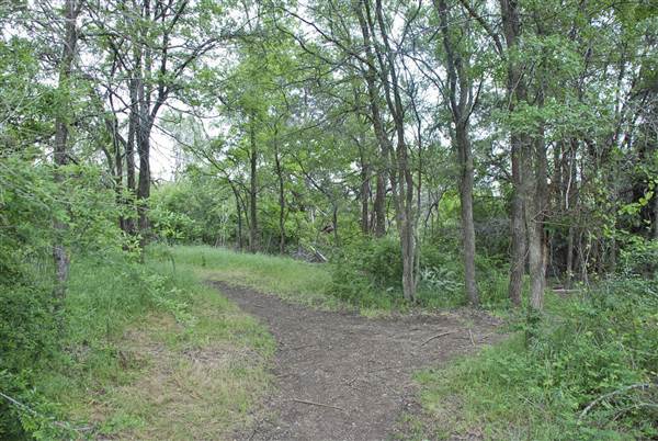 Cedar Hill State Park (4/13/2015)