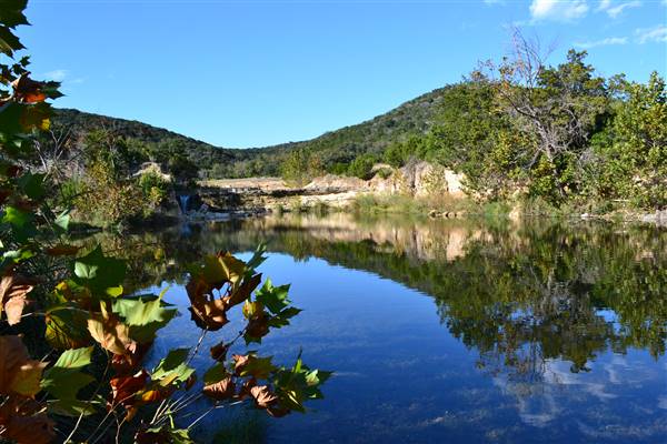 Madrone Ranch (11/12/2015)