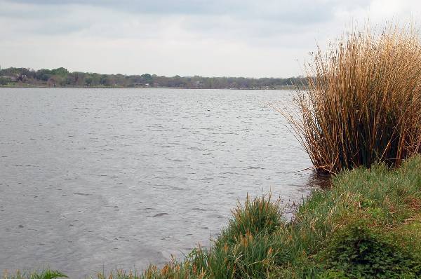 White Rock Lake Park (3/25/2007)