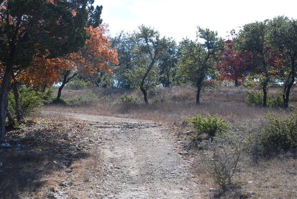 Henly Hill Ranch (1/8/2016)
