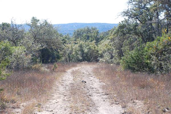 Henly Hill Ranch (1/8/2016)