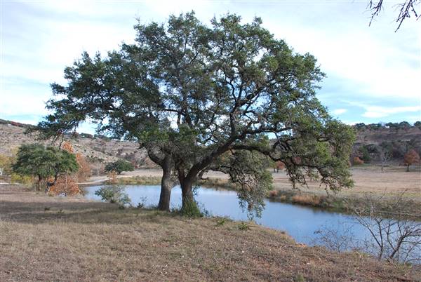 Longhorn River Ranch (12/9/2015)