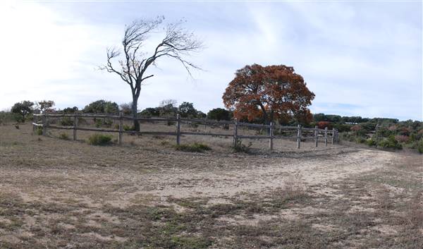 Longhorn River Ranch (12/9/2015)