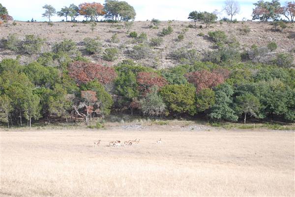 Longhorn River Ranch (12/9/2015)
