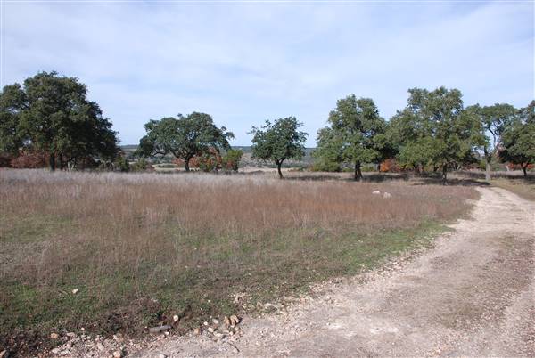 Longhorn River Ranch (12/9/2015)