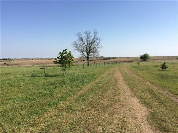 Maeshill Farm (4/18/2016)