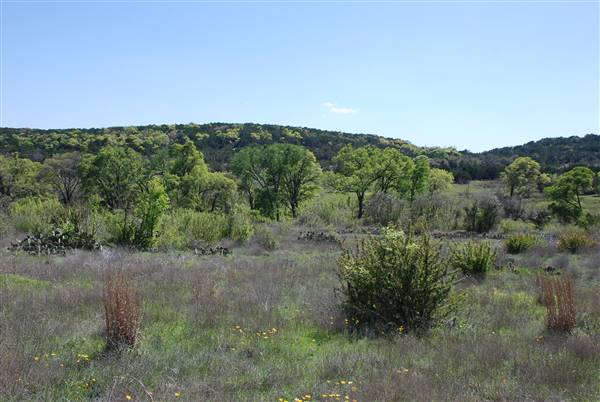 Sunset Ranch (3/22/2016)
