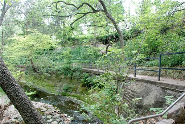 Davis Park (4/14/2016)