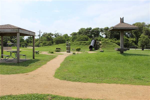 Pine Gully Park (6/16/2016)