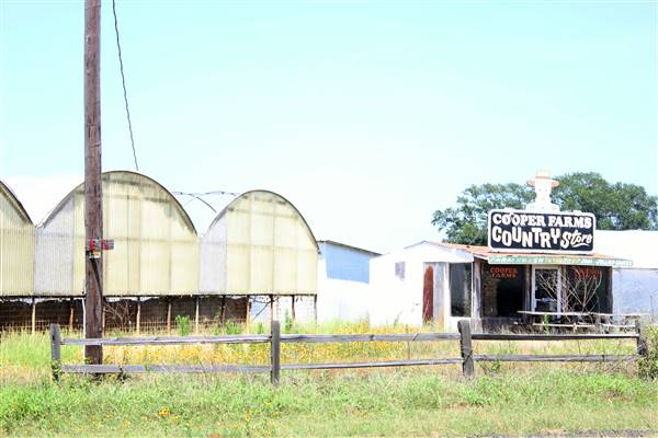 Cooper Farms (7/28/2016)