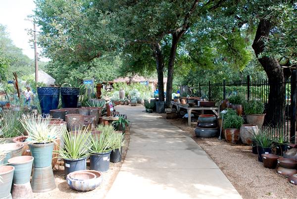 Hill Country Water Gardens & Nursery (8/11/2017)