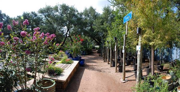 Hill Country Water Gardens & Nursery (8/11/2017)