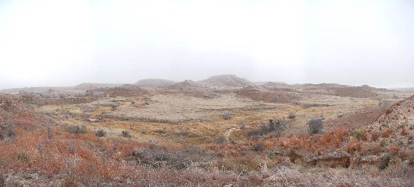 Mendota Ranch (12/13/2007)