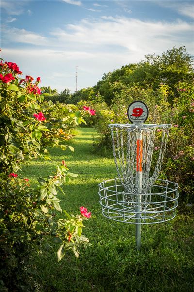 Pete's Path (3/16/2018)